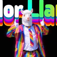 AE/PR视频换色局部调色处理工具插件 Color Llama V1.1.0 Win 含使用教程